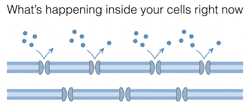 Mechanism